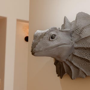 Peut inclure: Une sculpture en 3D imprimée en gris d'une tête de lézard à collerette montée sur un mur. Le lézard a une grande collerette autour du cou et un long museau.