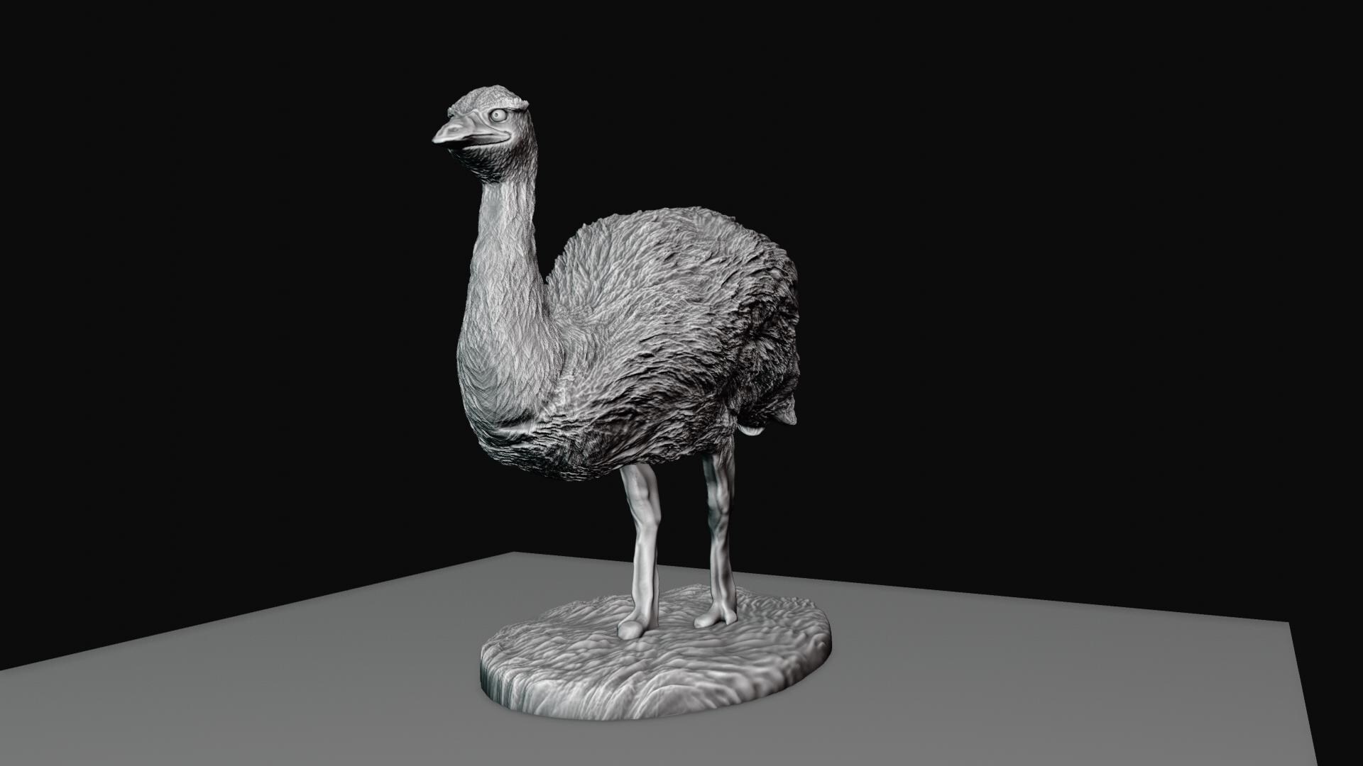 Emu Bird 3d Printing STL File - Etsy