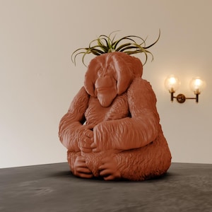 May include: A terracotta planter shaped like an orangutan, with a small plant growing out of the top of its head.