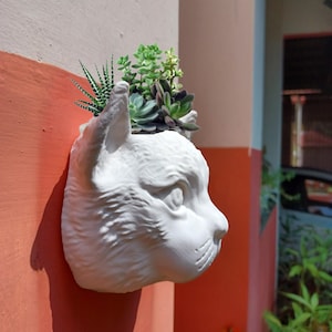 May include: White ceramic cat head planter with a variety of green succulents growing out of the top. The planter is mounted on a wall with a red and white background.