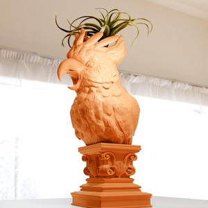 May include: A terracotta planter shaped like a cockatoo's head with a green air plant growing out of the top. The planter is sitting on a decorative base.