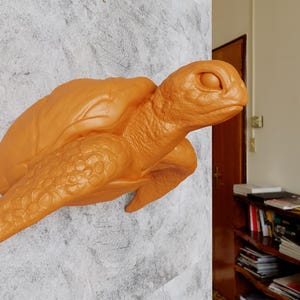 Op de afbeelding: Een terracottakleurig keramisch beeld van een zeeschildpad met zijn kop naar rechts gedraaid. De schildpad is aan een muur bevestigd en lijkt te zwemmen.