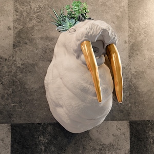 Walrus head mouth open wall mounted planter succulent flower vase pot décor 3d printing STL file