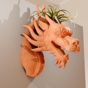 May include: A terracotta dragon head planter with a green air plant growing out of the top. The dragon's mouth is open and its eyes are closed.