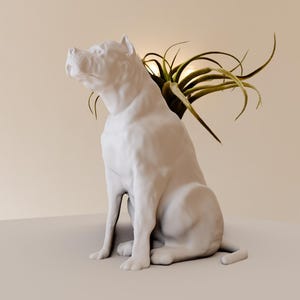 May include: White ceramic planter shaped like a sitting dog with a green air plant growing out of the top.