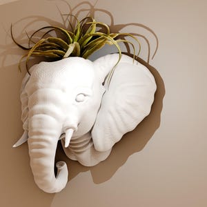 May include: White ceramic elephant planter with a green air plant growing inside. The planter is mounted on a wall.