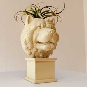 May include: A white ceramic planter shaped like a Chow Chow dog's head with a green air plant growing out of the top. The planter is sitting on a square pedestal.