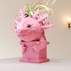 May include: A pink axolotl planter with a green plant growing out of its head. The planter is sitting on a white surface.