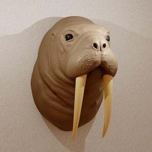 May include: A wall-mounted sculpture of a walrus head. The sculpture is a light brown colour with two large, ivory-coloured tusks. The walrus has dark eyes and a textured surface.