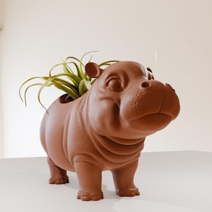 May include: A brown ceramic hippopotamus planter with a green air plant growing inside. The planter is standing on a white surface.