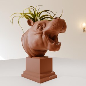 May include: A terracotta-colored hippopotamus planter with a green air plant growing out of the top. The planter is on a square base.
