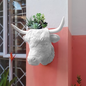 Puede incluir: Maceta de cerámica blanca con forma de cabeza de vaca con una variedad de suculentas que crecen en su interior. La maceta está montada en una pared rosa.