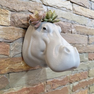 May include: A light gray hippo head-shaped wall planter with a small succulent arrangement. The planter is mounted on a stone-textured wall. The hippo's features are detailed, and the succulents add a touch of greenery.