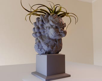 May include: A gray stone sculpture of a lion's head with intricate details, used as a planter for a green air plant. The sculpture is on a gray square base.