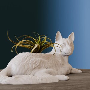 Könnte beinhalten: Weißer Keramik-Katzentopf mit einer grünen Luftpflanze darin. Die Katze liegt mit geschlossenen Augen da und hat einen glücklichen Gesichtsausdruck.