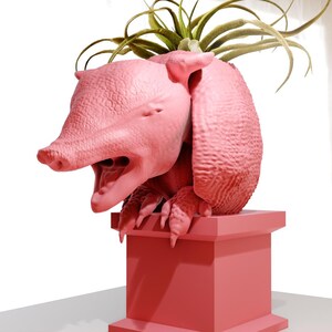 May include: A pink armadillo planter with a green air plant growing out of the top. The planter is sitting on a pink pedestal.