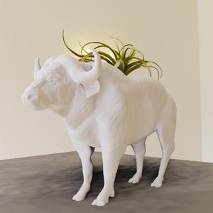May include: A white, buffalo-shaped planter with curved horns and a textured surface. The planter holds green air plants, adding a natural element. The sculpture is set on a gray surface against a neutral background.