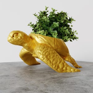 May include: A gold turtle planter with a green plant growing out of the top. The turtle is in a running pose with its head turned to the side.