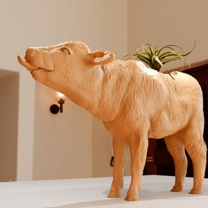 May include: A wooden sculpture of a warthog with its tongue sticking out. The sculpture is painted in a light brown color and has a plant growing out of its back.