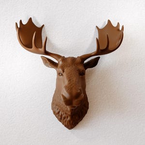 Könnte beinhalten: Braune Elchkopf-Wanddekoration mit großem Geweih. Der Elchkopf ist an einer weißen Wand befestigt. Das Geweih hat einen dunkleren Braunton als der Kopf.