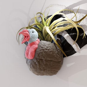 May include: A grey and pink turkey figurine with a green air plant growing out of its head. The turkey is mounted on a white wall.
