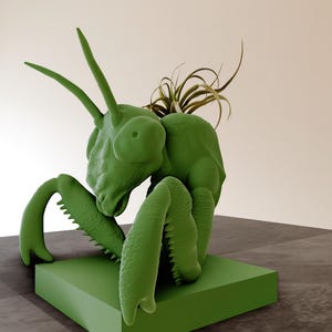 Peut inclure: Un pot en céramique vert en forme de mante religieuse avec une petite plante aérienne poussant sur son dos. Le pot est posé sur une base verte.