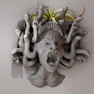 Könnte beinhalten: Eine graue Skulptur von Medusa, der griechischen mythologischen Figur mit Schlangenhaaren, mit einer grünen Pflanze, die aus ihrem Kopf wächst. Die Skulptur ist an einer weißen Wand befestigt.