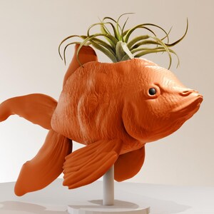 May include: Orange ceramic goldfish planter with a green air plant growing out of the top.