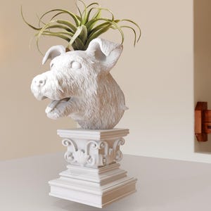 May include: White ceramic dog head planter with a green air plant growing out of the top. The planter is on a white pedestal with ornate details.