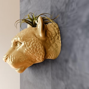 Puede incluir: Un macetero de cerámica de color dorado con forma de cabeza de leopardo con una pequeña planta de aire creciendo en su interior.