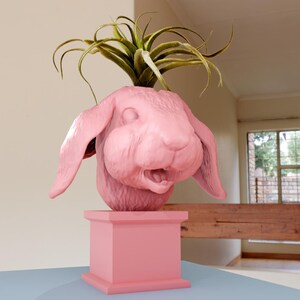 May include: A pink ceramic planter shaped like a rabbit's head with a green air plant growing out of the top. The planter is on a pink pedestal.