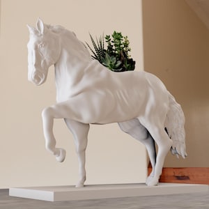 以下が含まれることがあります： 白いセラミック製の馬のプランターで、緑色の多肉植物が背中に生えています。馬は白い台座の上に立っています。