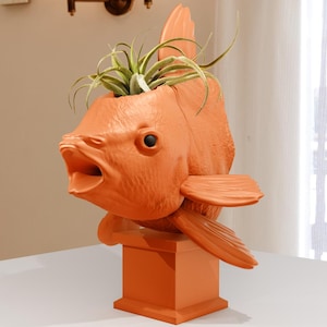 May include: Orange ceramic fish planter with a green air plant growing inside. The fish planter is on a small orange pedestal.