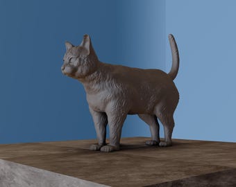 May include: A grey ceramic cat figurine with a long tail, standing on a wooden surface.