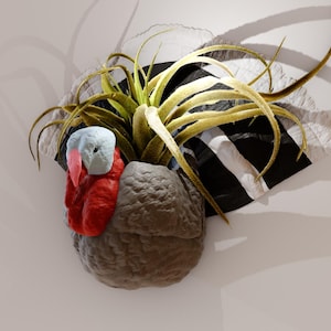 May include: A grey and red turkey head sculpture with a green air plant growing out of the top. The sculpture is mounted on a black and white striped background.