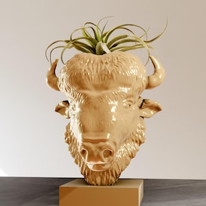May include: A ceramic planter shaped like a bison head, with a small air plant growing out of the top. The planter is a light beige color and has a textured surface.