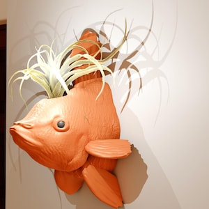 May include: A terracotta-colored fish sculpture with an air plant growing out of its head, mounted on a white wall.