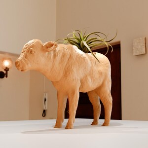May include: A wooden sculpture of a cow with a small plant growing out of its back. The sculpture is light brown and has a natural wood finish.