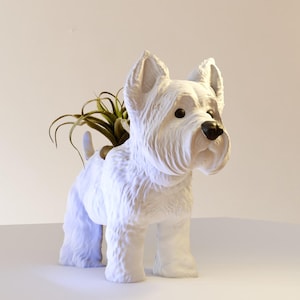 Könnte beinhalten: Weißer Keramik-Pflanztopf in Form eines West Highland White Terriers mit einer kleinen grünen Pflanze darin.