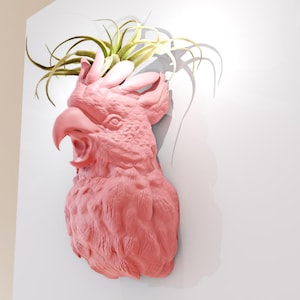 May include: A pink ceramic bird head sculpture with a green air plant growing out of the top. The bird's beak is open and it has a textured surface.