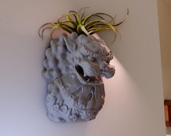 May include: A gray ceramic lion head planter with a green air plant growing out of the top. The planter is mounted on a white wall.