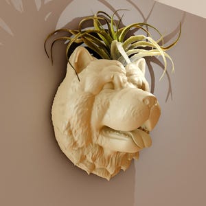 May include: A white ceramic dog head planter with a green air plant growing out of the top.