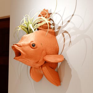 May include: A bright orange ceramic fish sculpture with an open mouth, mounted on a wall. The fish has a plant growing out of its head.