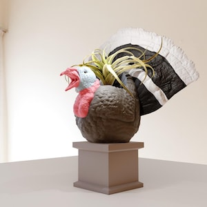 May include: A brown and grey turkey planter with white and black tail feathers. The planter is filled with a green air plant.