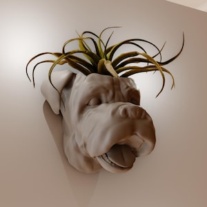 May include: A wall-mounted planter shaped like a dog's head, with a neutral color. The dog's mouth is open, and the planter holds a plant with long, thin, green and brown leaves. The planter is mounted on a white wall.