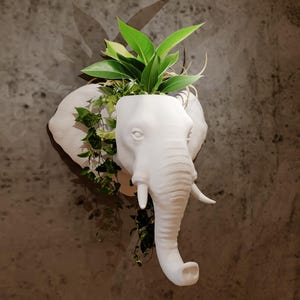 May include: A white elephant head wall planter filled with green plants and vines. The planter is mounted on a textured, grey-brown wall. The elephant head has detailed features, including tusks and a trunk.