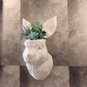 May include: White ceramic rabbit planter with green succulents growing out of the top. The planter is mounted on a gray tiled wall.