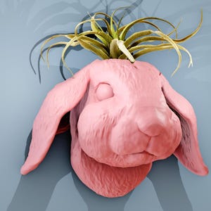 May include: A pink ceramic rabbit head with a green air plant growing out of the top. The rabbit head is mounted on a wall.