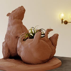 May include: A terracotta planter shaped like two brown bears, one standing upright and the other lying on its back, with a green air plant growing out of the top of the lying bear.