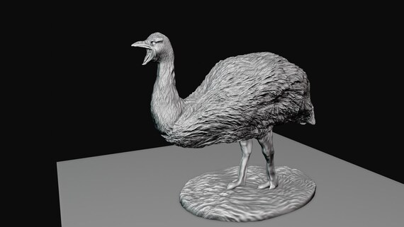 Emu Bird Screaming 3d Printing STL File - Etsy